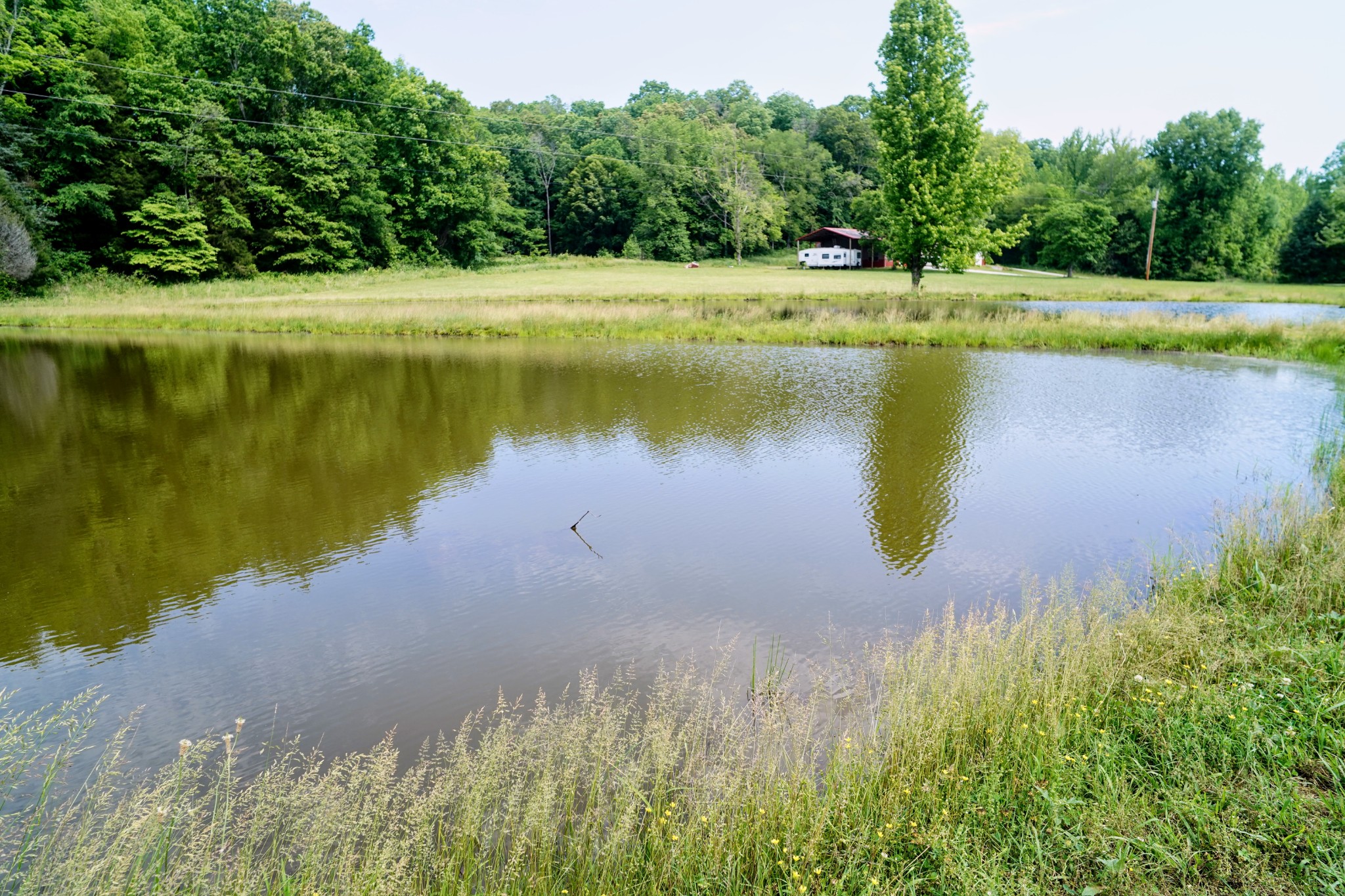 450 Lowe Branch Road Centerville, TN 37033 - Photo 95 of 100 a view of a lake with a lake