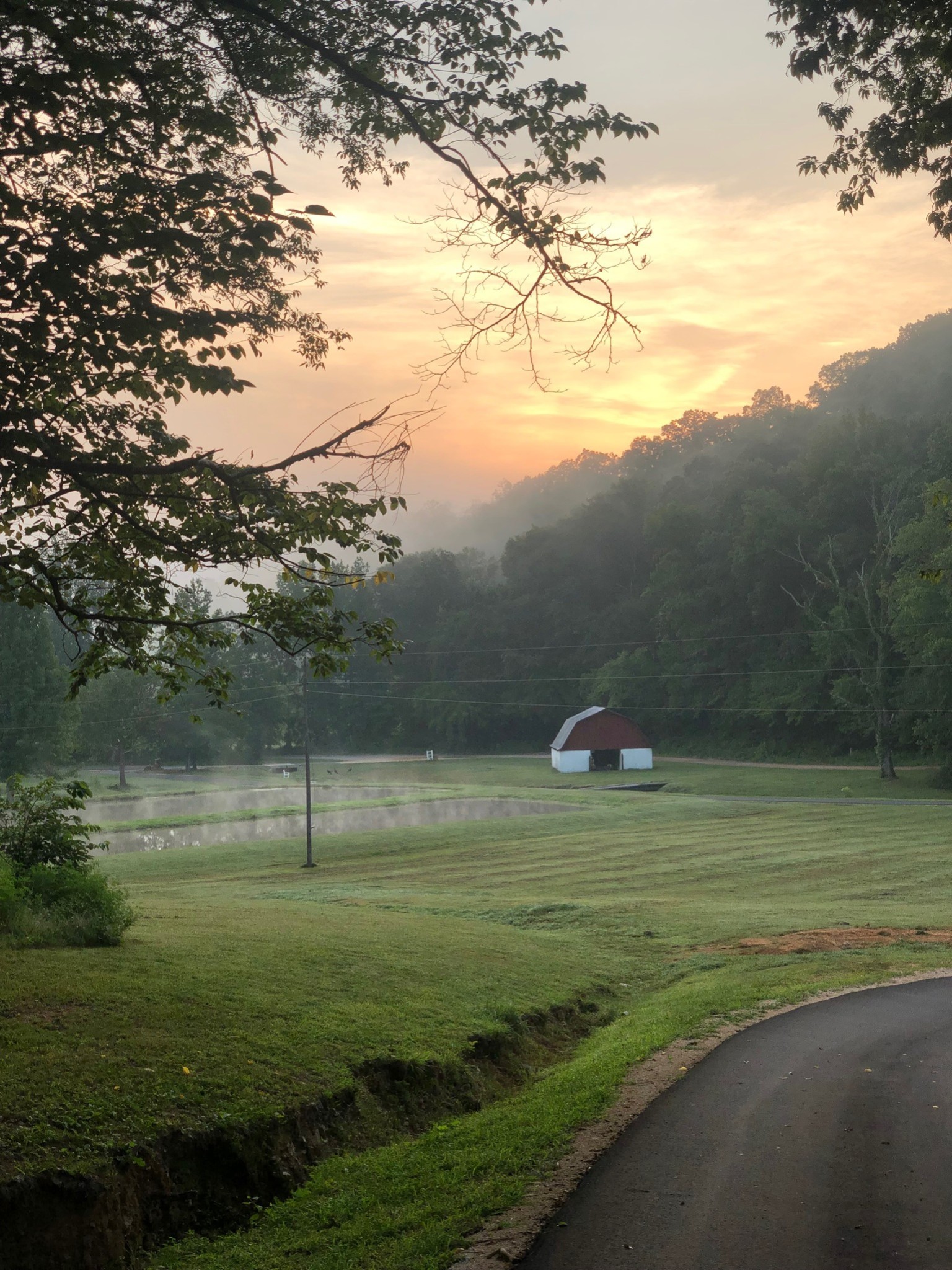 450 Lowe Branch Road Centerville, TN 37033 - Photo 10 of 100 a view of a lake