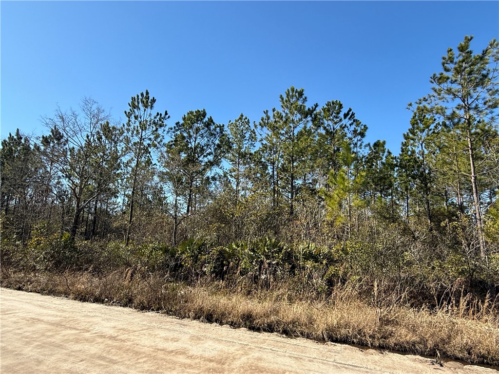 4 Elmer Thrift Road Waycross, GA 31503 - Photo 2 of 3