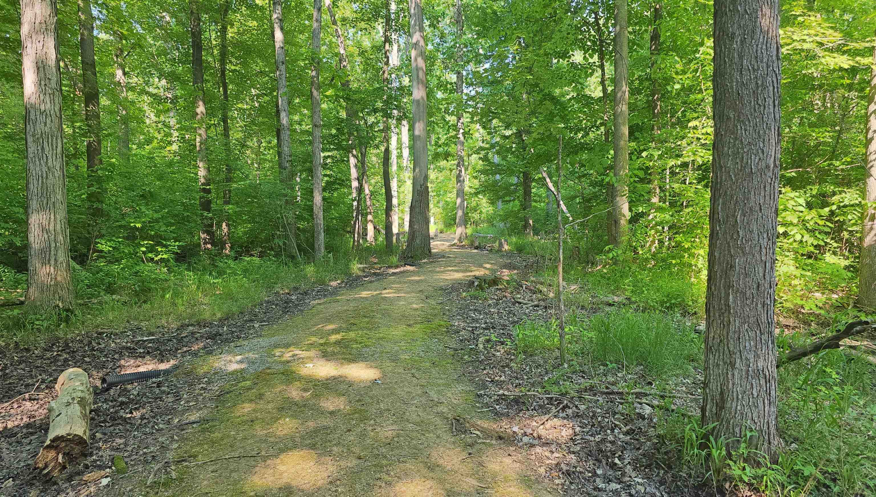 9270 Morrish Road Montrose, MI 48457 - Photo 21 of 21