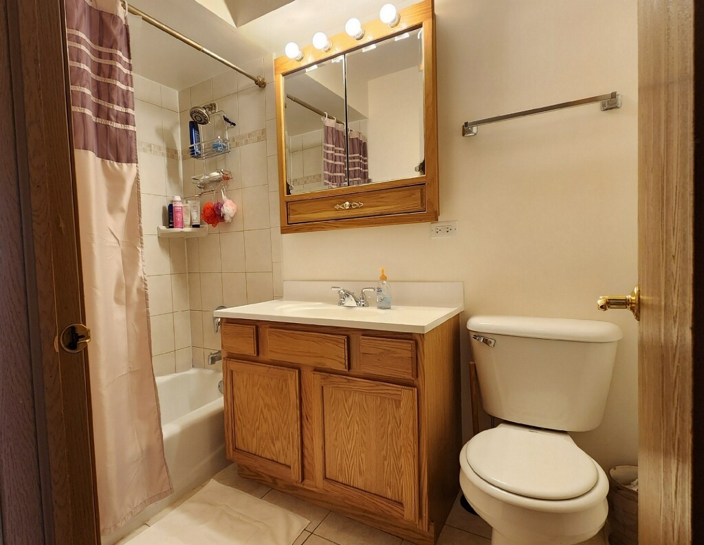 6440 Pamela Lane, Unit 12 Chicago Ridge, IL 60415 - Photo 11 of 15 a bathroom with a toilet sink vanity and mirror
