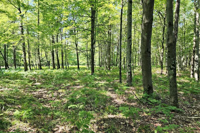 $25,000 | 6127 Fawn Lake Drive, Stanwood, MI 49346