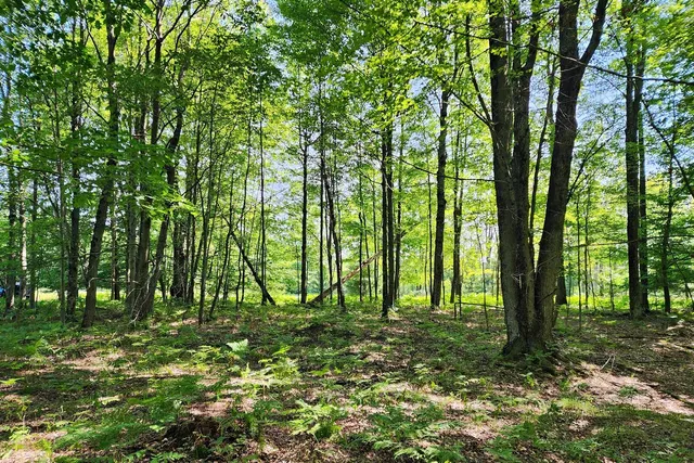 $25,000 | 6127 Fawn Lake Drive, Stanwood, MI 49346