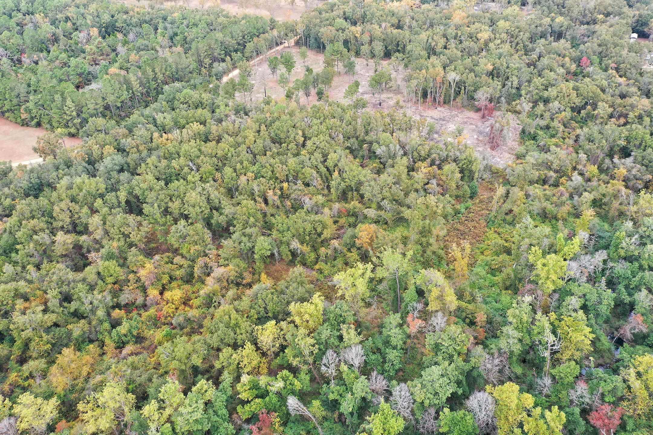 1 Sanca Lane Silverhill, AL 36576 - Photo 7 of 11