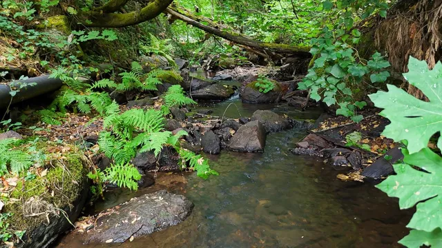 $873,000 | 134 Boulder Street, Nevada City, CA 95959