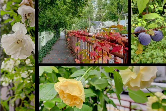 $873,000 | 134 Boulder Street, Nevada City, CA 95959