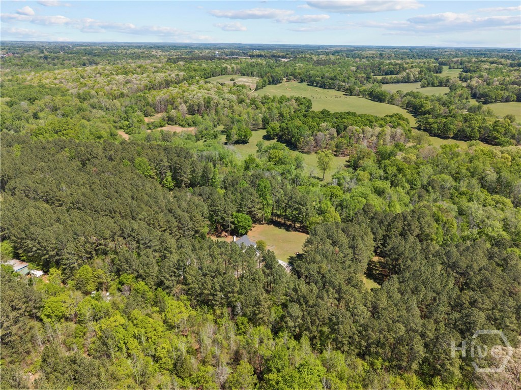 599 Double Branch Road Danielsville, GA 30633 - Photo 70 of 70