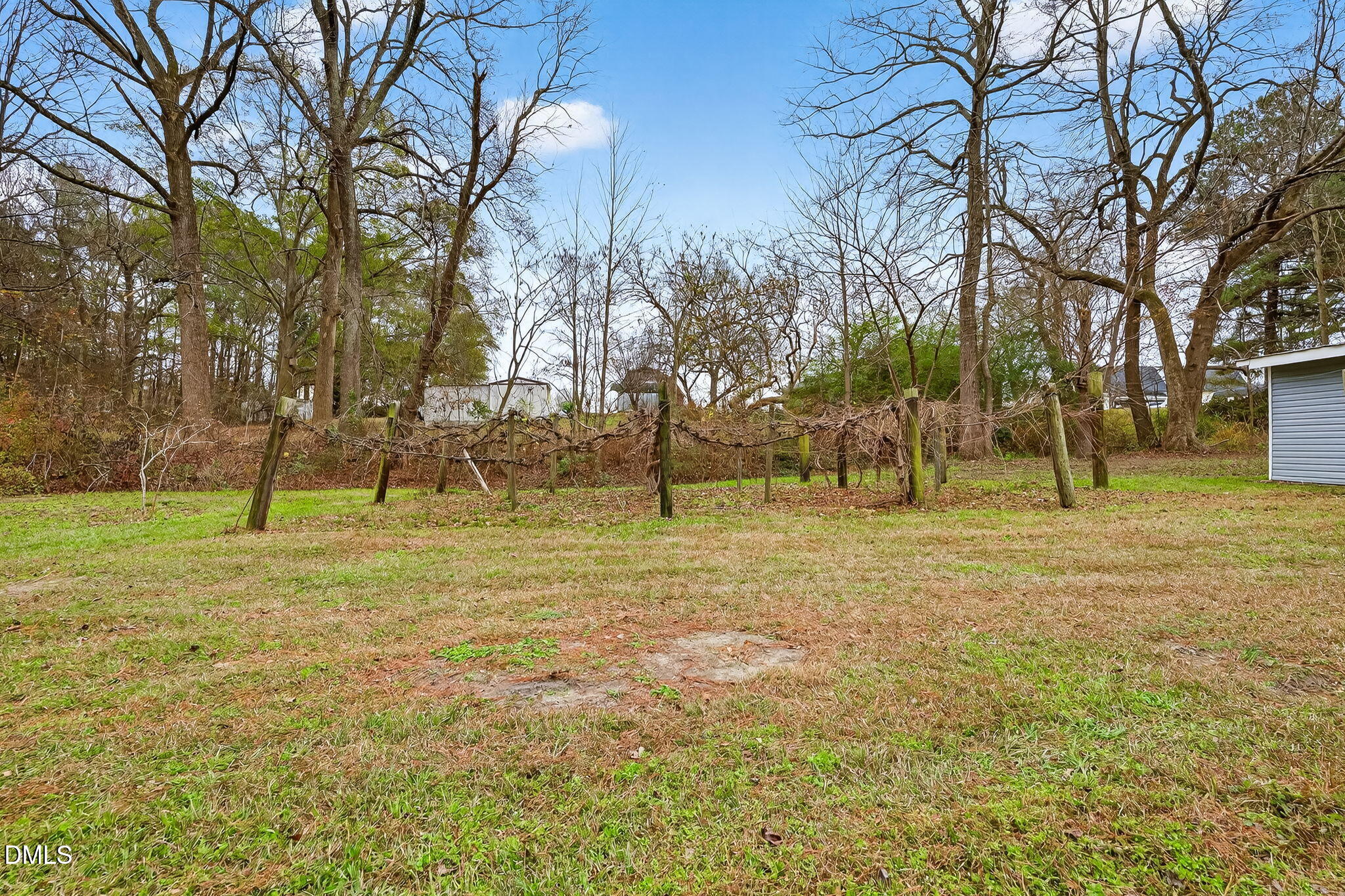 6313 Brack Penny Road Raleigh, NC 27603 - Photo 34 of 41 a view of park with trees