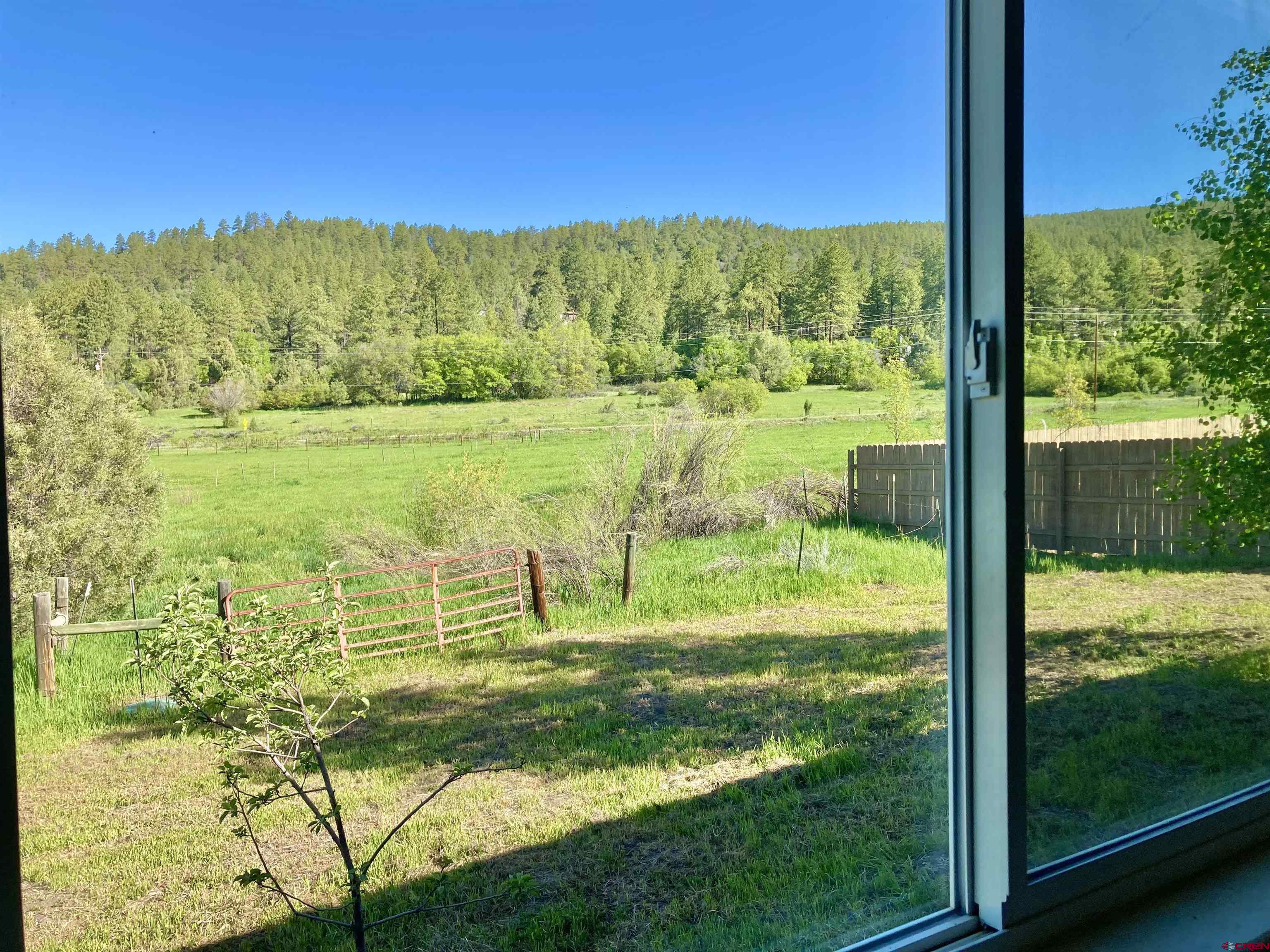 56 Bad Mule Road Durango, CO 81301 - Photo 24 of 35 a view of a garden with an ocean from a balcony