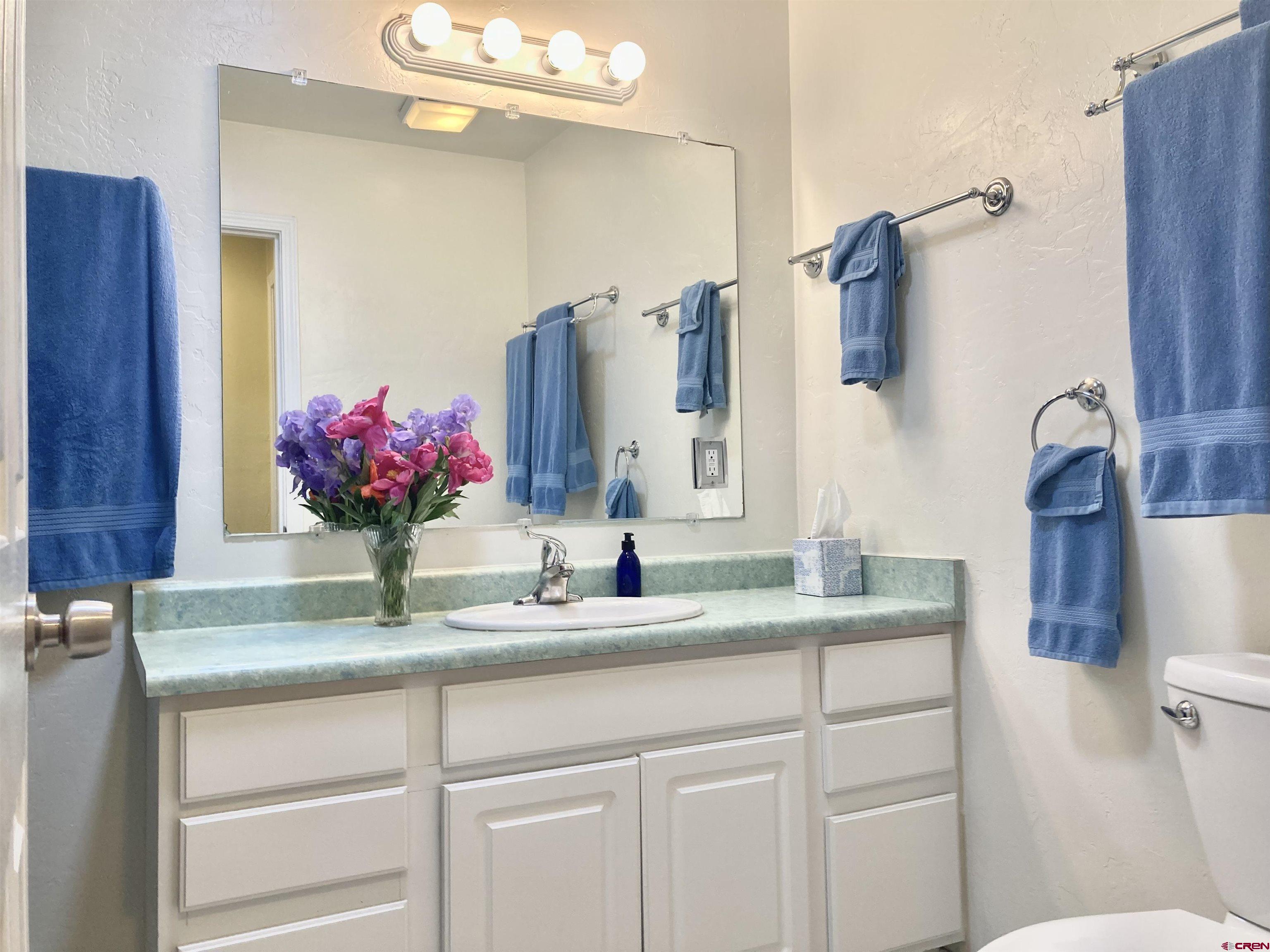 56 Bad Mule Road Durango, CO 81301 - Photo 28 of 35 a bathroom with a granite countertop sink a toilet and mirror