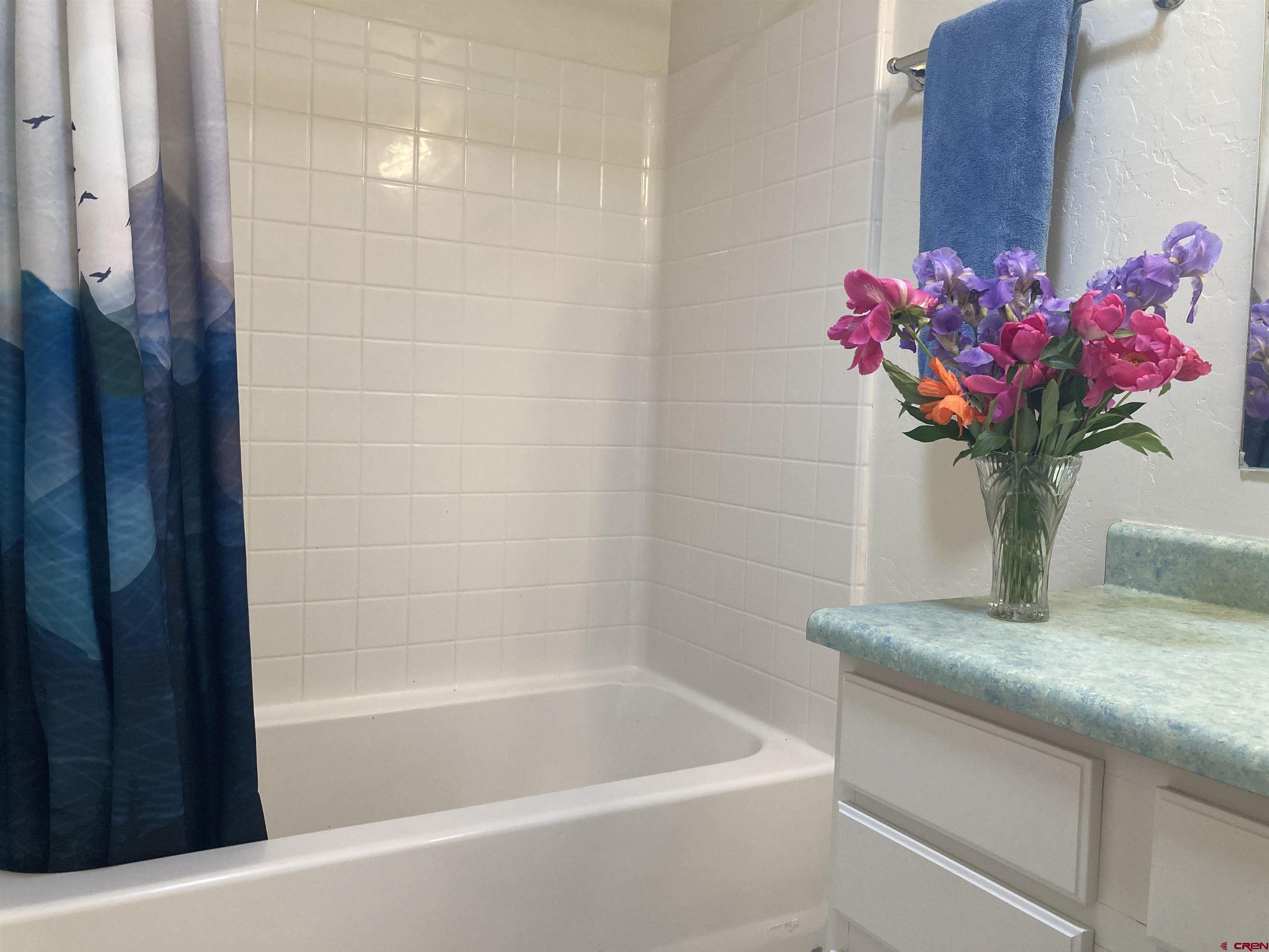 56 Bad Mule Road Durango, CO 81301 - Photo 29 of 35 a bath room with a sink and a bath tub