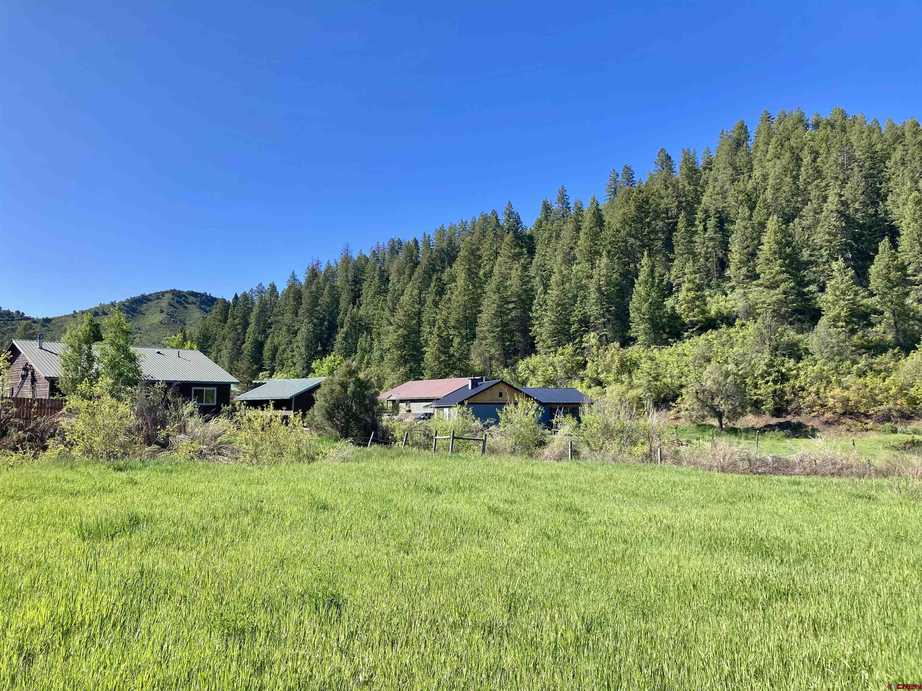 56 Bad Mule Road Durango, CO 81301 - Photo 31 of 35