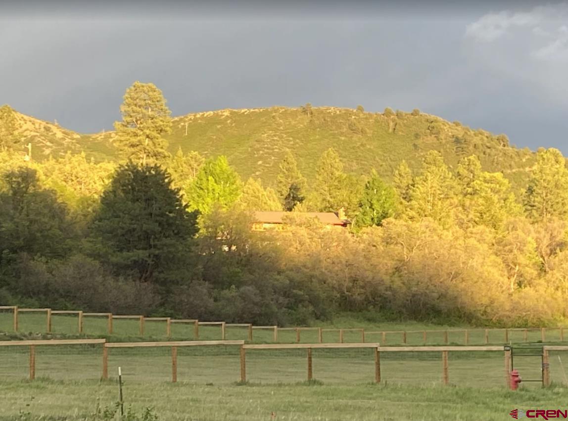 56 Bad Mule Road Durango, CO 81301 - Photo 6 of 35