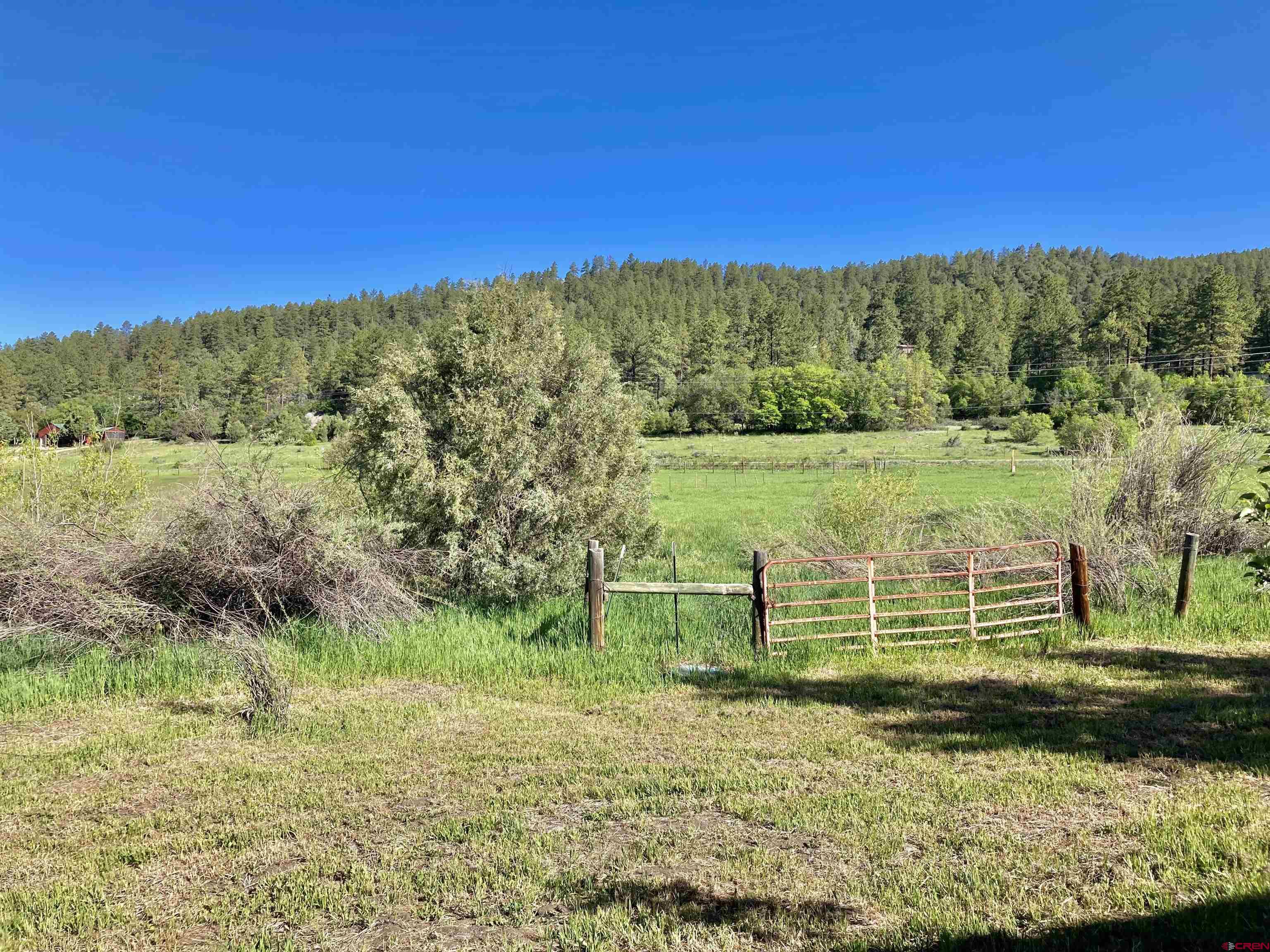 56 Bad Mule Road Durango, CO 81301 - Photo 8 of 35 a view of a grassy area with an trees