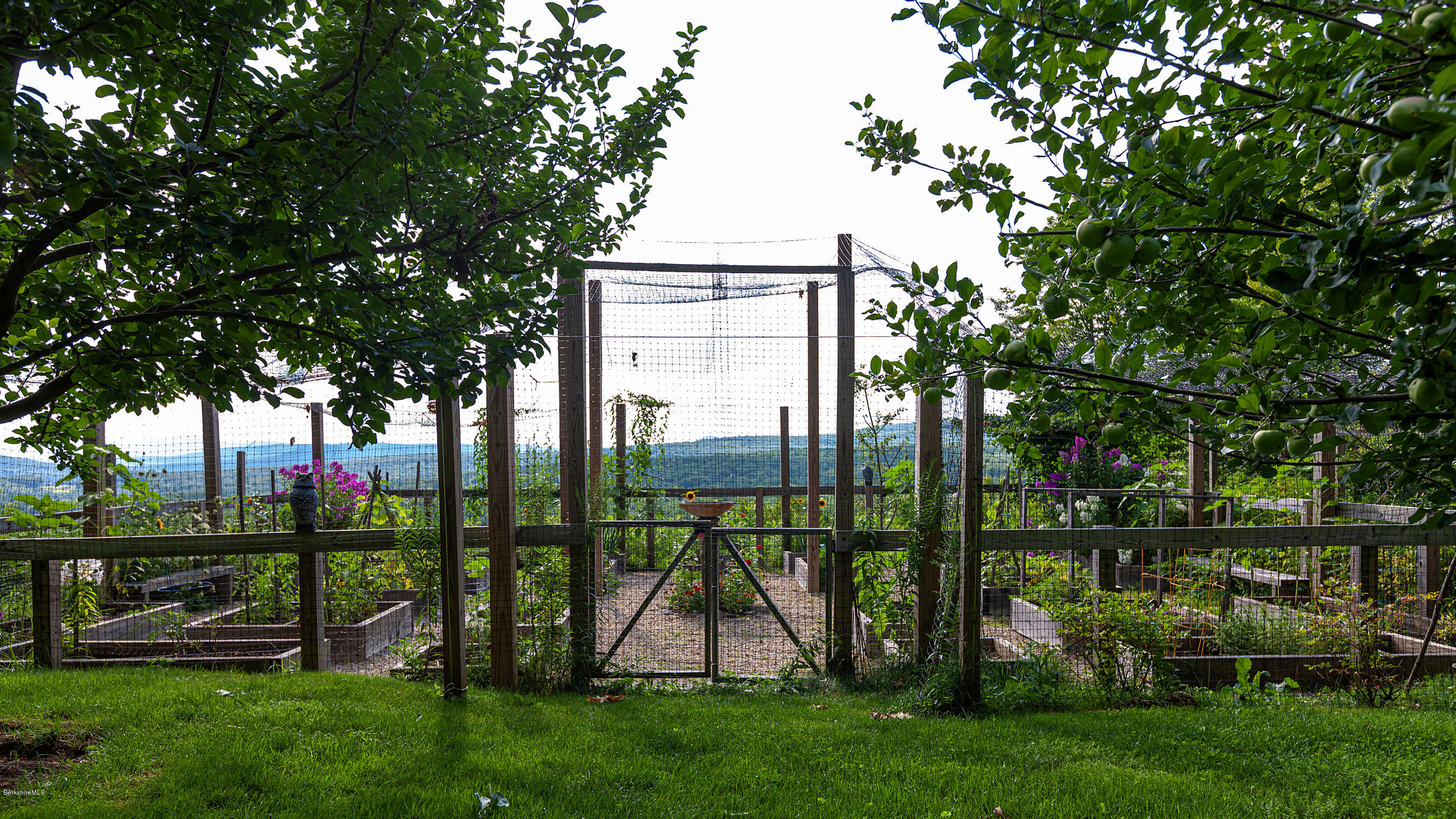 179 Mt Hunger Road Monterey, MA 01245 - Photo 63 of 66 FULLY FENCED AND NETTED ORGANIC GARDEN