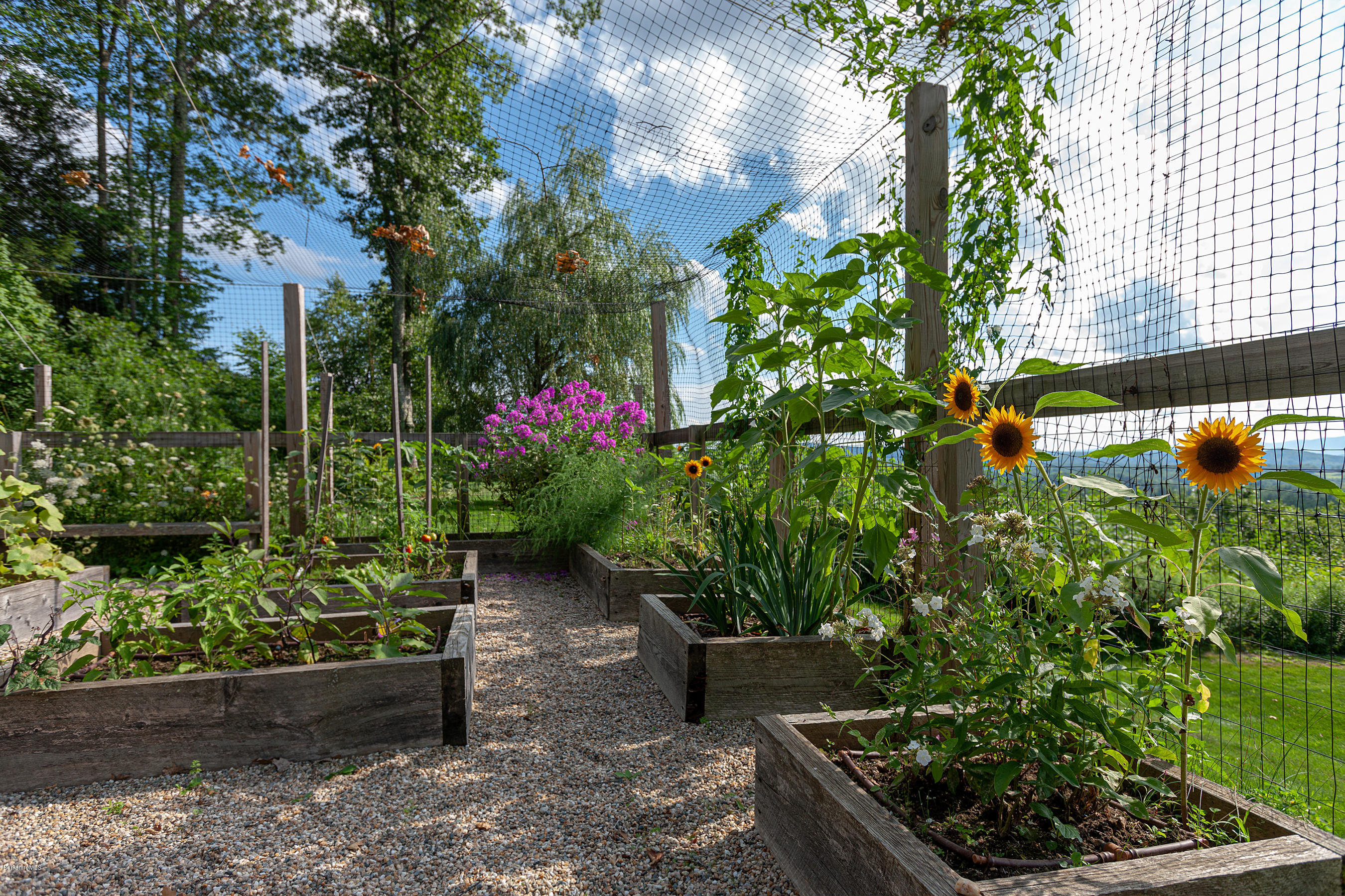179 Mt Hunger Road Monterey, MA 01245 - Photo 64 of 66 RAISED BED ORGANIC GARDENING