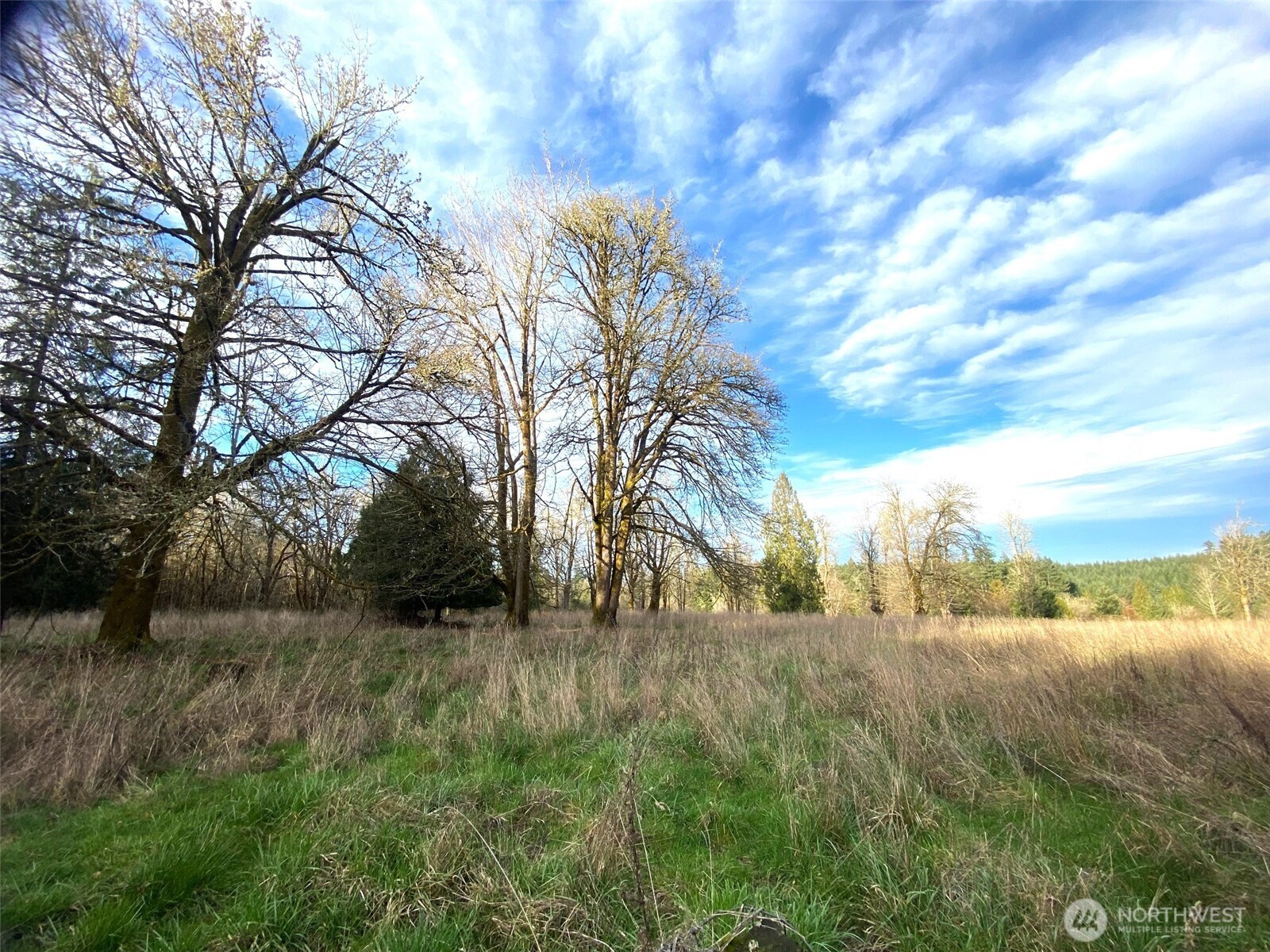 9444 Lundeen Road Southwest Rochester, WA 98579 - Photo 36 of 39