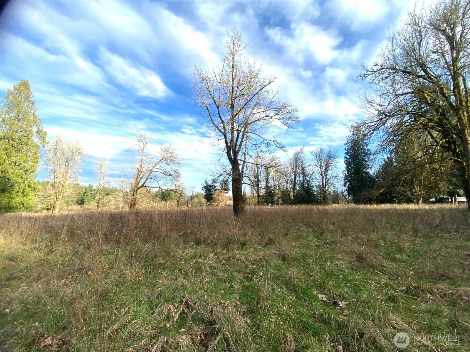 9444 Lundeen Road Southwest Rochester, WA 98579 - Photo 37 of 39
