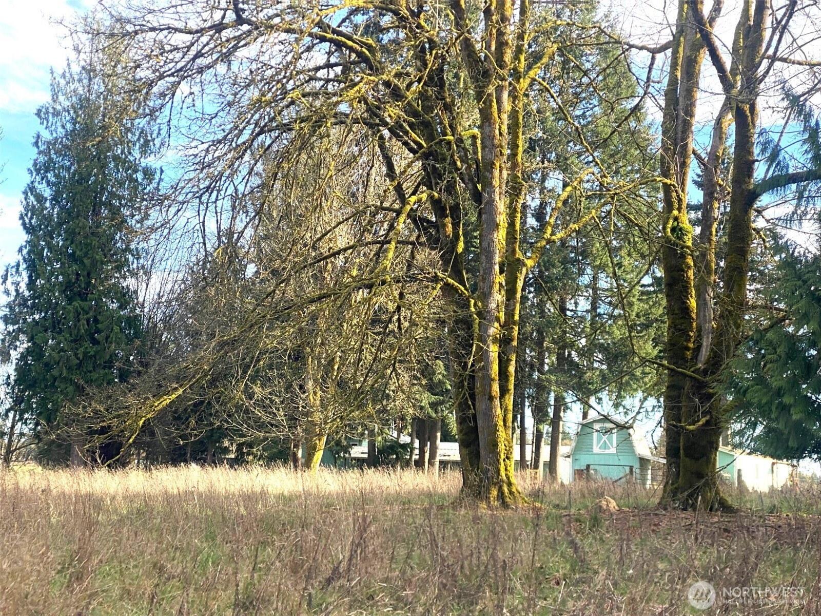 9444 Lundeen Road Southwest Rochester, WA 98579 - Photo 38 of 39