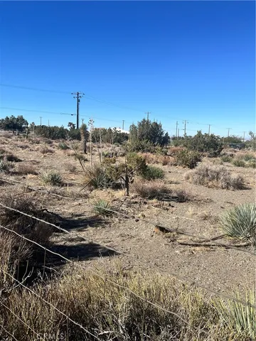 a view of a dry yard
