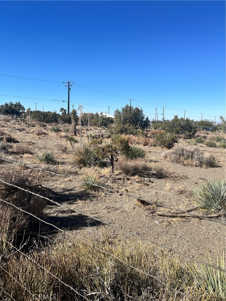 0 Beekley Road Phelan, CA 92371 - Photo 2 of 3 a view of a dry yard