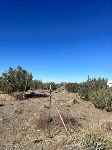 a view of a dry yard with trees in the background