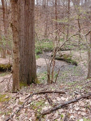 9979 Wilson Mills Road Chardon, OH 44024 - Photo 34 of 35 View of the Small Spring/Creek on the Property!
