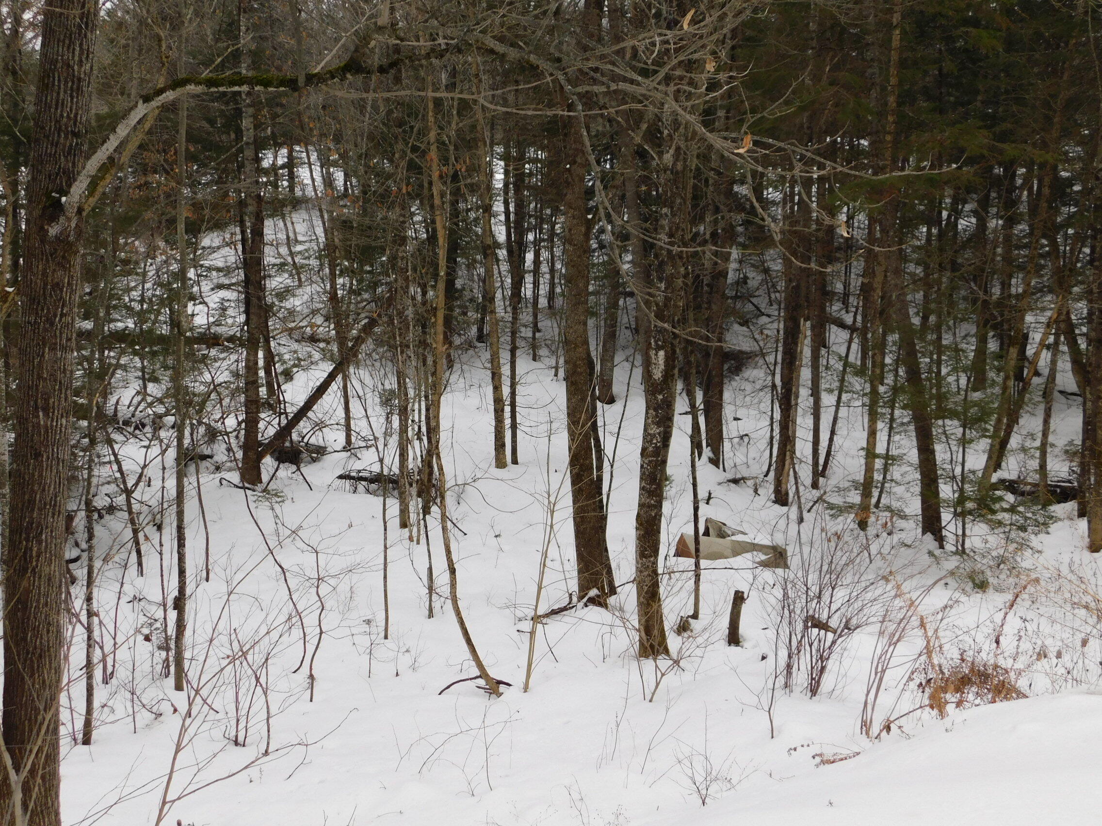 1648 New Sharon Road Anson, ME 04911 - Photo 7 of 21 DSCN2828