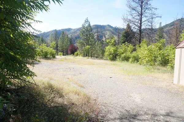 a view of a yard along with trees
