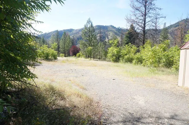 a view of a yard along with trees