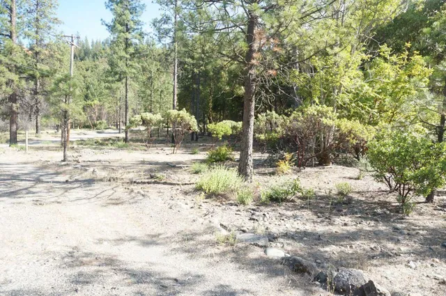 a view of road with trees