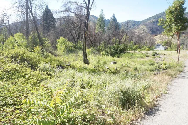 a view of yard covered with snow