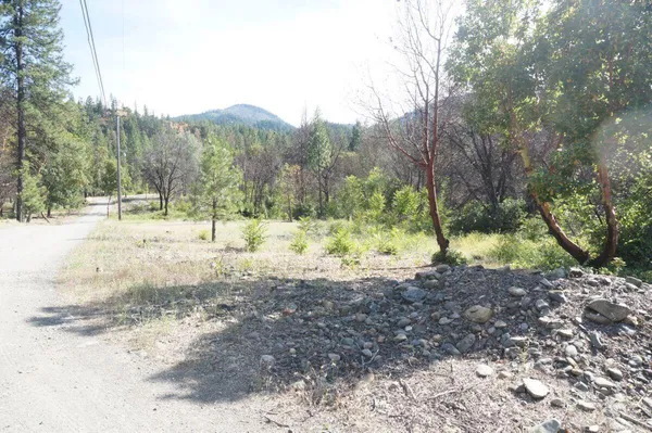 a view of a yard covered in snow
