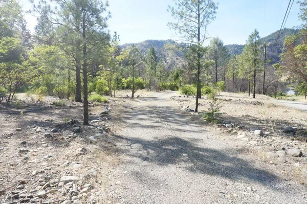 a view of empty space with trees