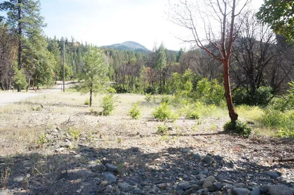 a view of dirt yard with a tree