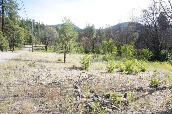 a view of a yard covered in snow