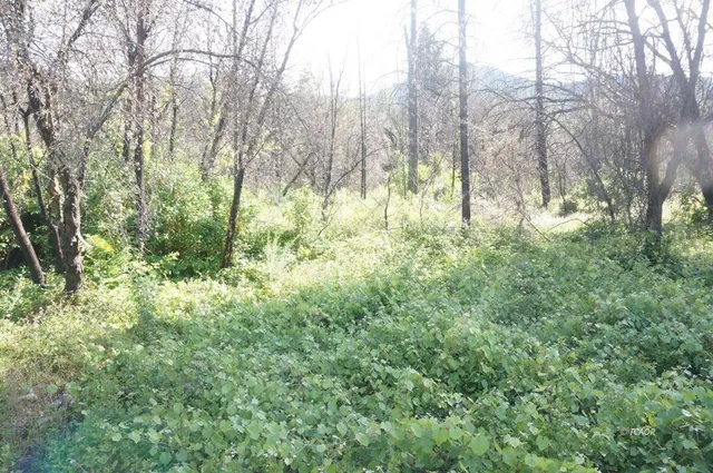 $99,000 | 101 River Acres, Junction City, CA 96048