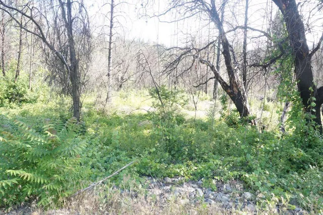$99,000 | 101 River Acres, Junction City, CA 96048