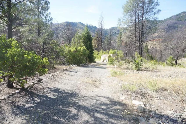 a view of dirt yard and a large tree