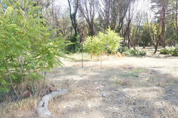 a view of a yard with a tree