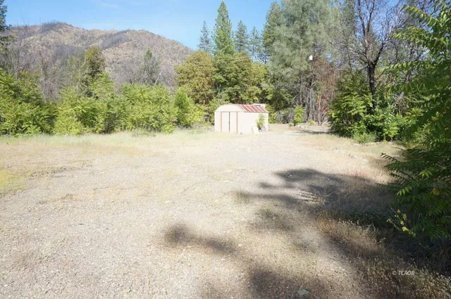 a view of a field with trees in the background