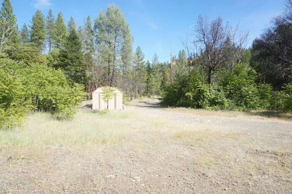 a view of a outdoor space and trees