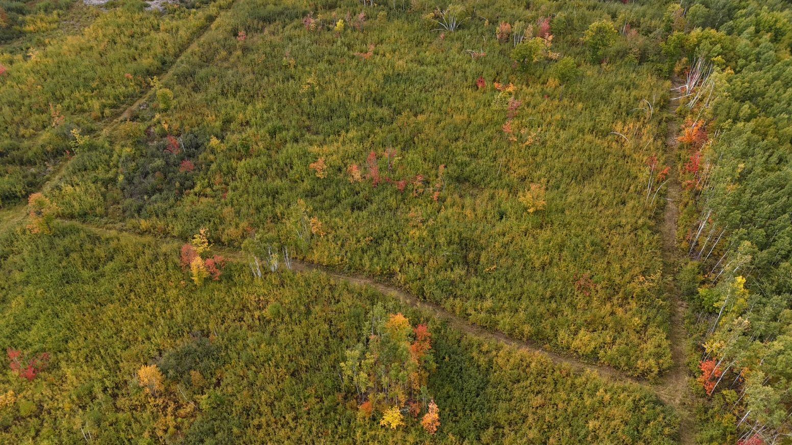 62427 Lower Tamarack Road Bruno, MN 55712 - Photo 27 of 53 Gallery Image 27