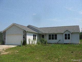 5310 Fish Lake Road North Branch, MI 48461 - Photo 1 of 9 PHOTO