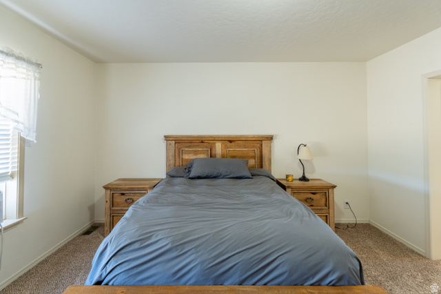 700 East Peter Springs Road Monticello, UT 84535 - Photo 20 of 57 Carpeted bedroom featuring a window with blinds, light-toned walls, and a visible doorway