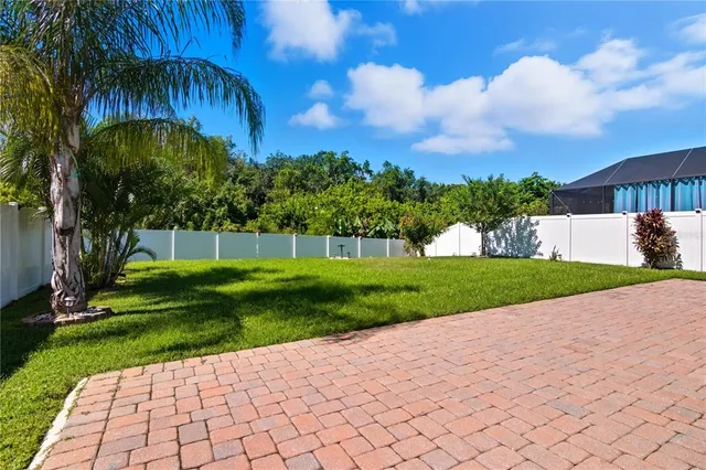 a view of a park with plants and trees