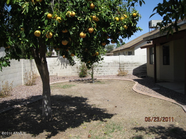 732 East Appaloosa Road Gilbert, AZ 85296 - Photo 16 of 18 pic16