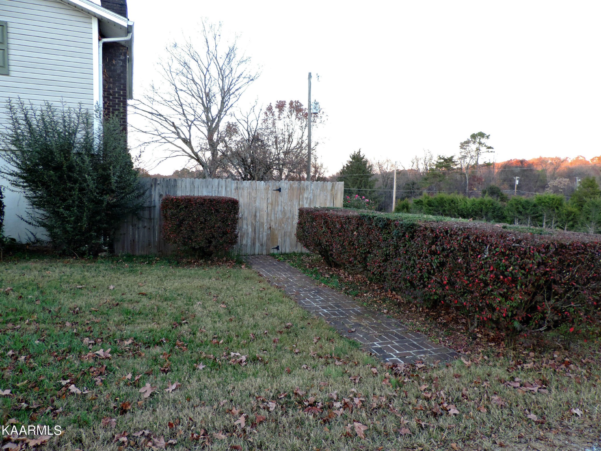 520 Cooper Road Strawberry Plains, TN 37871 - Photo 20 of 21 Gallery Image 20