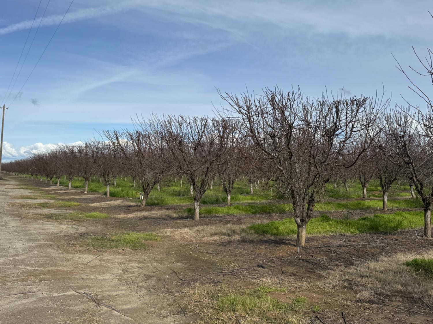 6722 Bryden Road Marysville, CA 95901 - Photo 11 of 33 a view of dirt field with trees