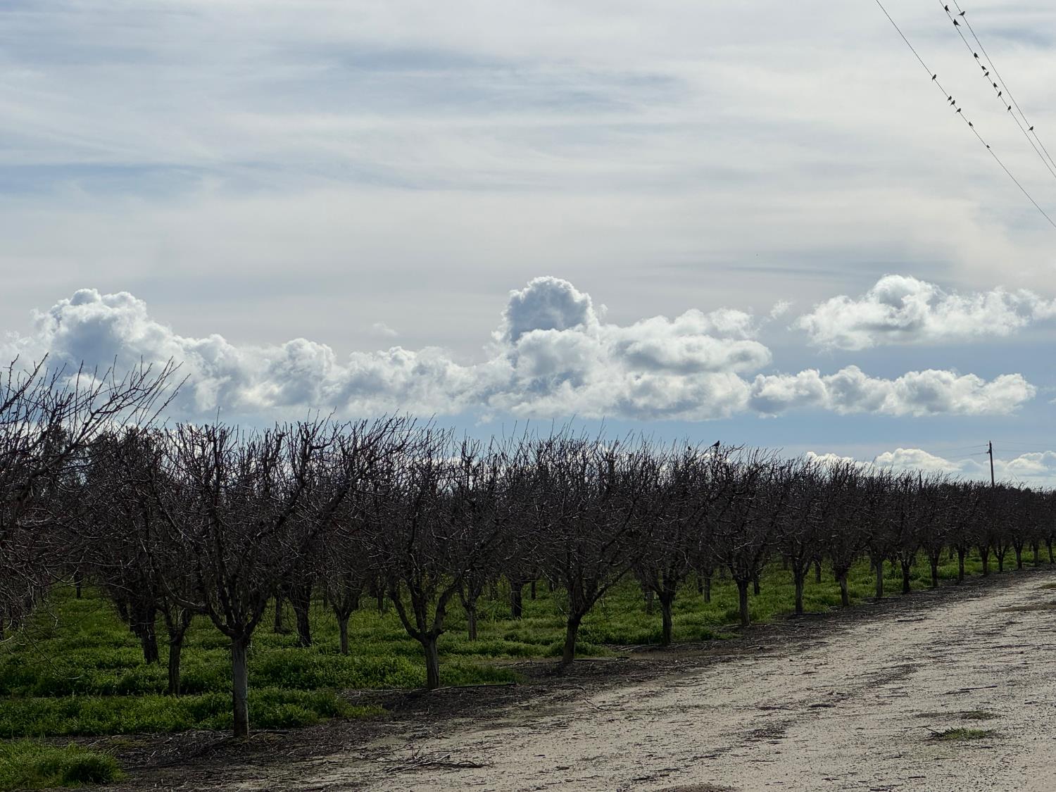 6722 Bryden Road Marysville, CA 95901 - Photo 12 of 33